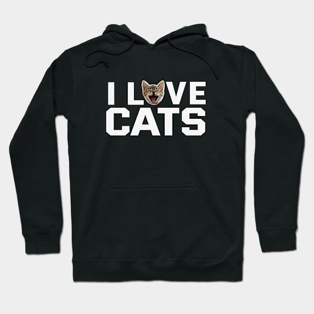 I LOVE CATS V.1 Hoodie by Aspita